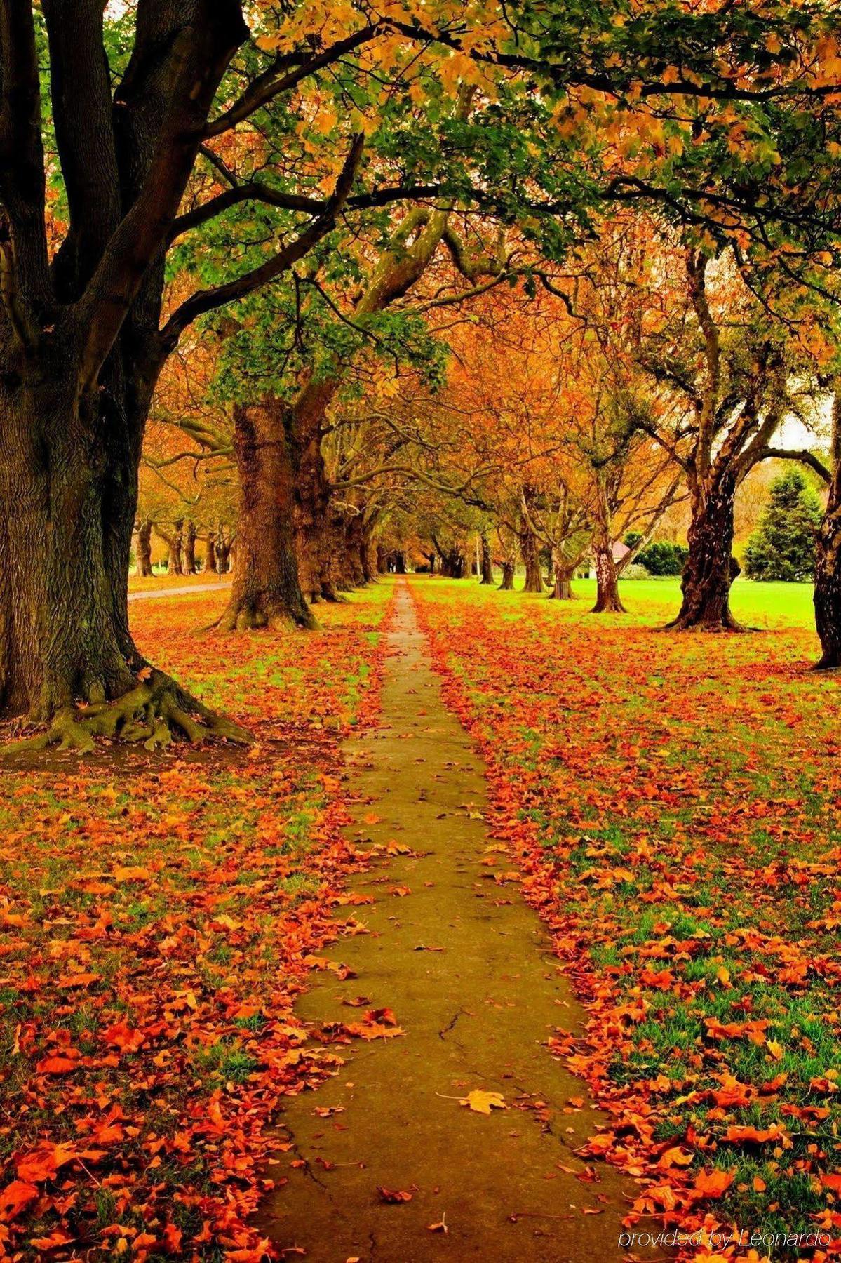 Parkview On Hagley Hotel Christchurch Bagian luar foto